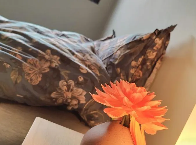 Apartament Modern And Comfortable In Attractive Neighborhood