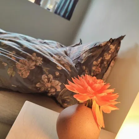 Apartamento Modern And Comfortable In Attractive Neighborhood